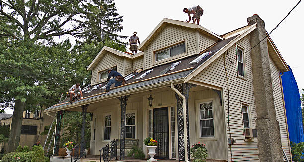 Best Commercial Roofing Services  in Hamilton, AL