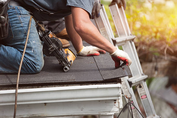 Best Metal Roofing Contractor  in Hamilton, AL