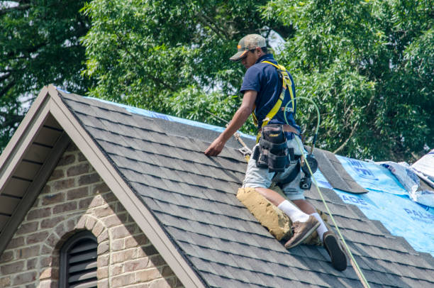Best Residential Roofing Contractor  in Hamilton, AL